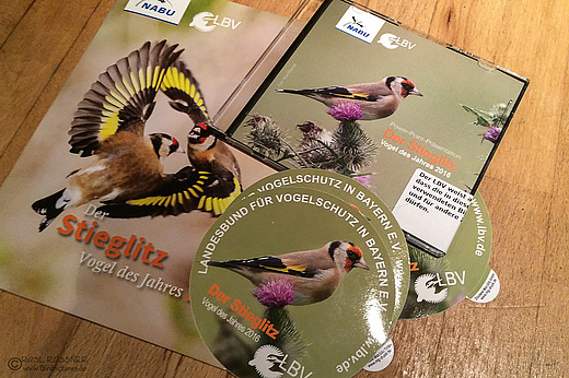 Vogel des Jahres - der Stieglitz